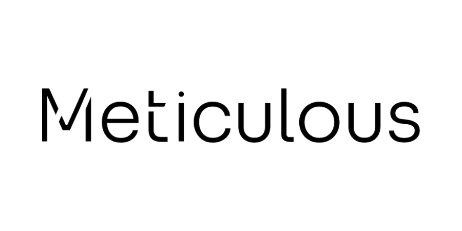 Meticulous LeadDev